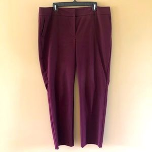 Ann Taylor Factory Pants